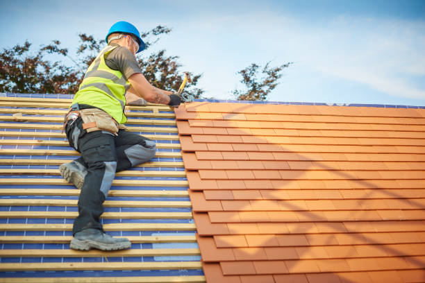 Best Metal Roofing Installation  in West Columbia, SC